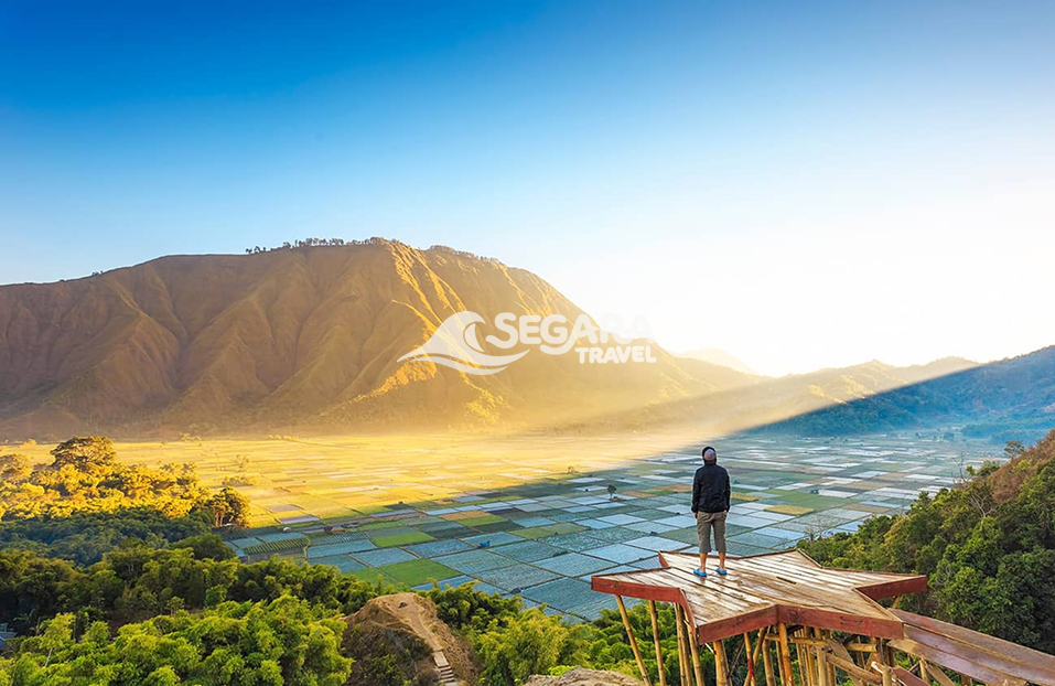 Hamparan bukit hijau Sembalun dengan latar Gunung Rinjani di Lombok
