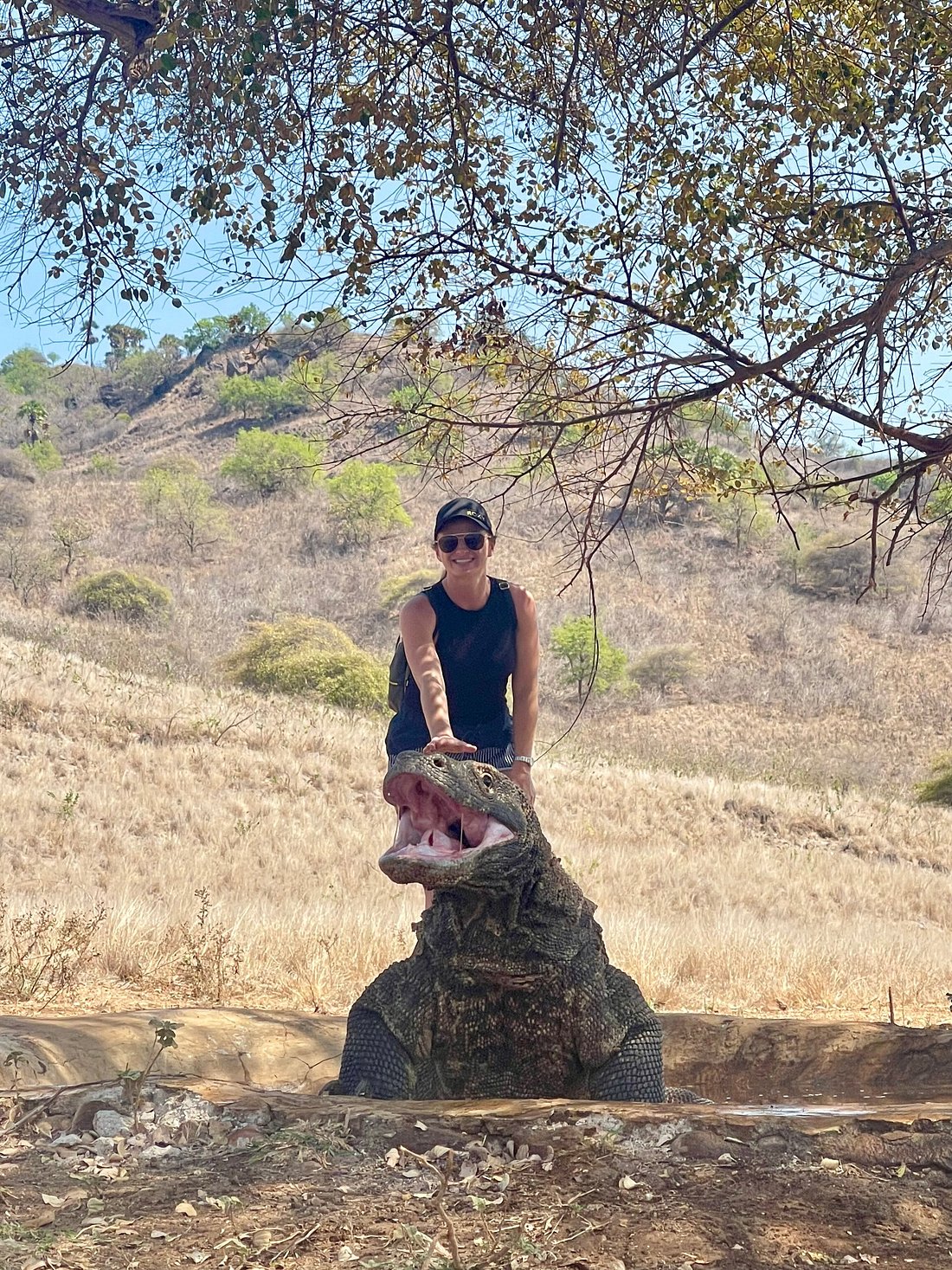 Komodo dragon in its natural habitat, Komodo Island